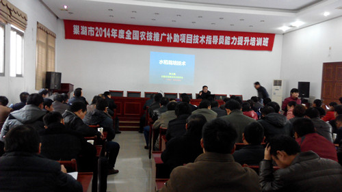 烔炀镇多少人口_烔炀镇未来规划图(3)